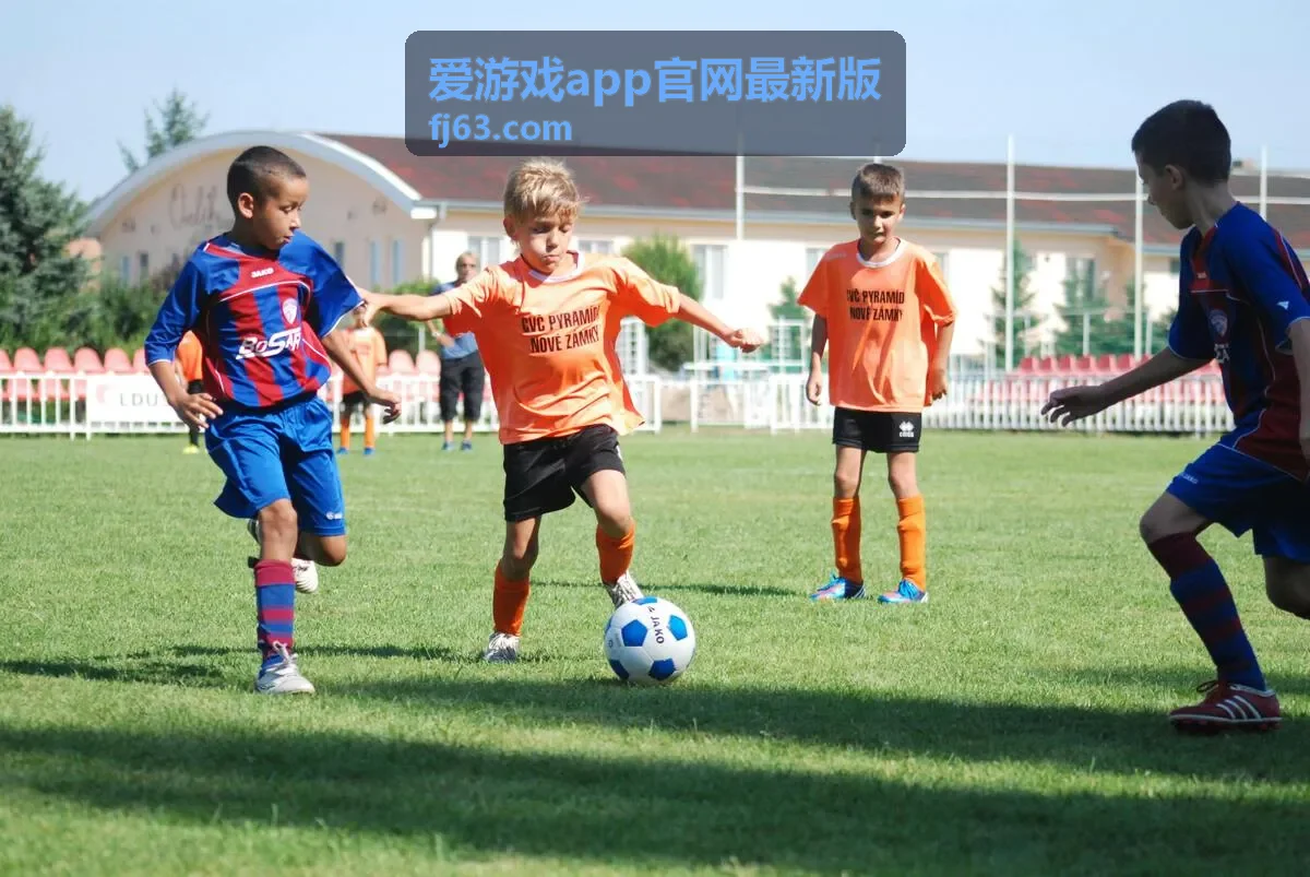 爱游戏app官网最新版 下载安装流程示意图